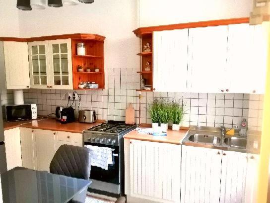 Free Garage Parking, Ac And Bikes In The Downtown Appartement Boedapest Buitenkant foto